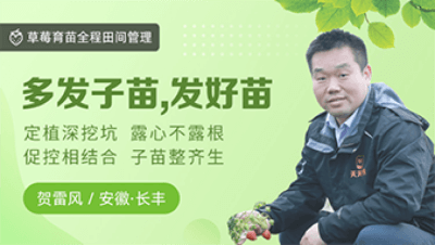 多发子苗，发好苗